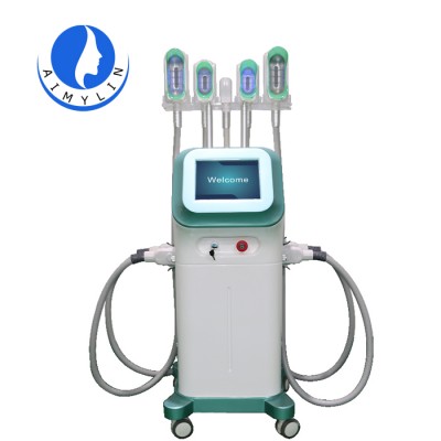 Fat Cryolipolysis Machine 3d 360 Degree cryotherapy body sculpting equipment