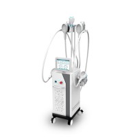 Winkonlaser 4 Hands Cryolipolysis Double Chin Removal Cryo Machine Fat Freeze Cryolipolysis Machine